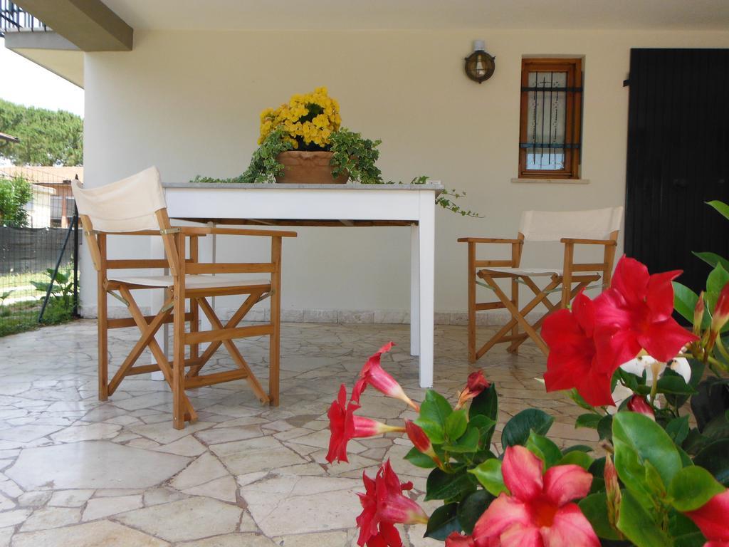 La Casa Di Nila Lägenhet Pisa Exteriör bild
